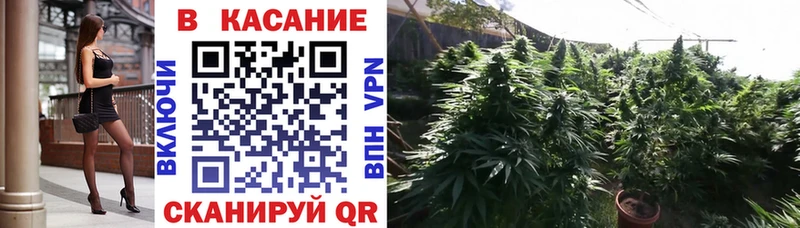 Цена Орехово-Зуево Cocaine  БУТИРАТ  Марихуана  blacksprut онион  Альфа ПВП  Меф мяу мяу 