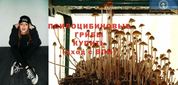 mdpv Алзамай